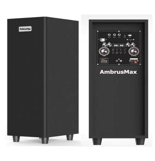 Loa-vi-tinh-AmbrusMax-AM-36